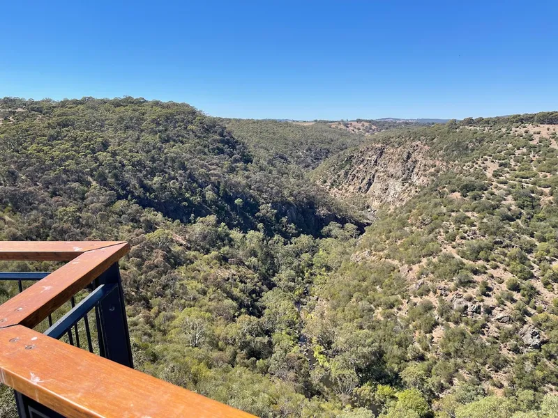 Punchbowl Lookout and Trails