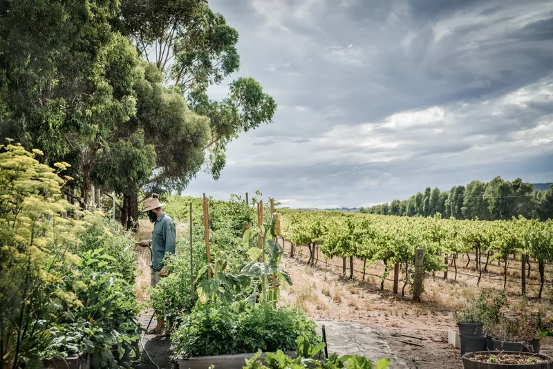 The Currant Shed Restaurant