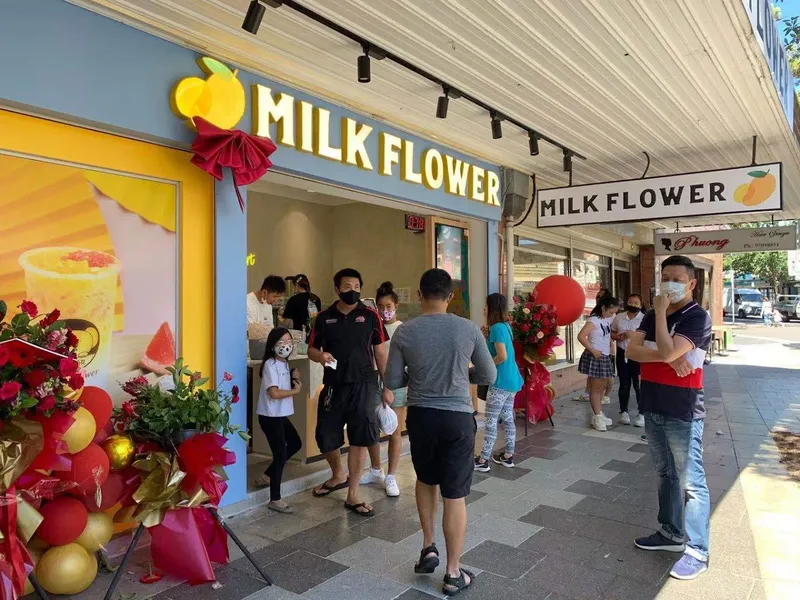 Milk Flower Bankstown