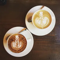 Top 28 lattes in Parramatta Sydney