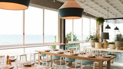 Top 10 oysters in Northern Beaches Council Sydney