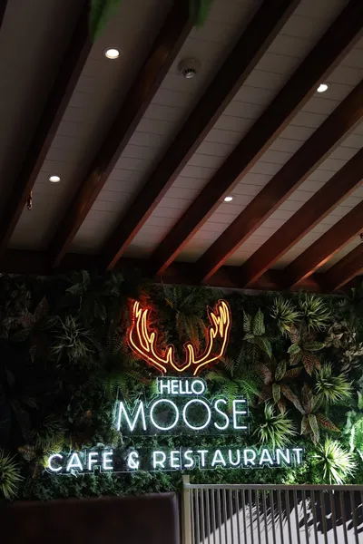 Hello Moose Cafe