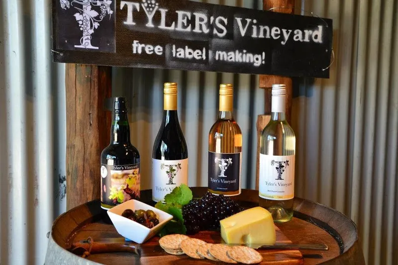 Tyler's Vineyard