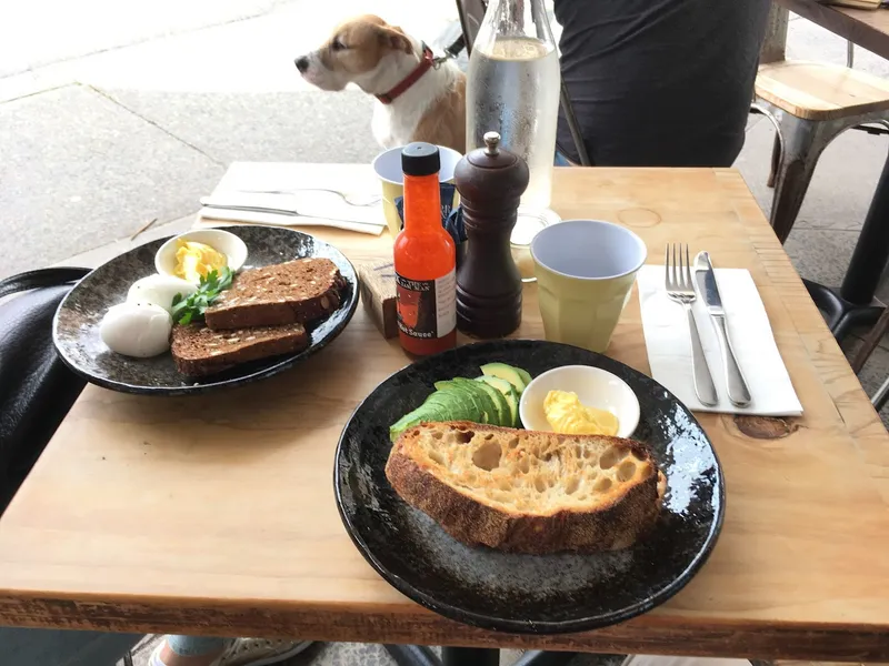 Tuckshop Bondi Junction