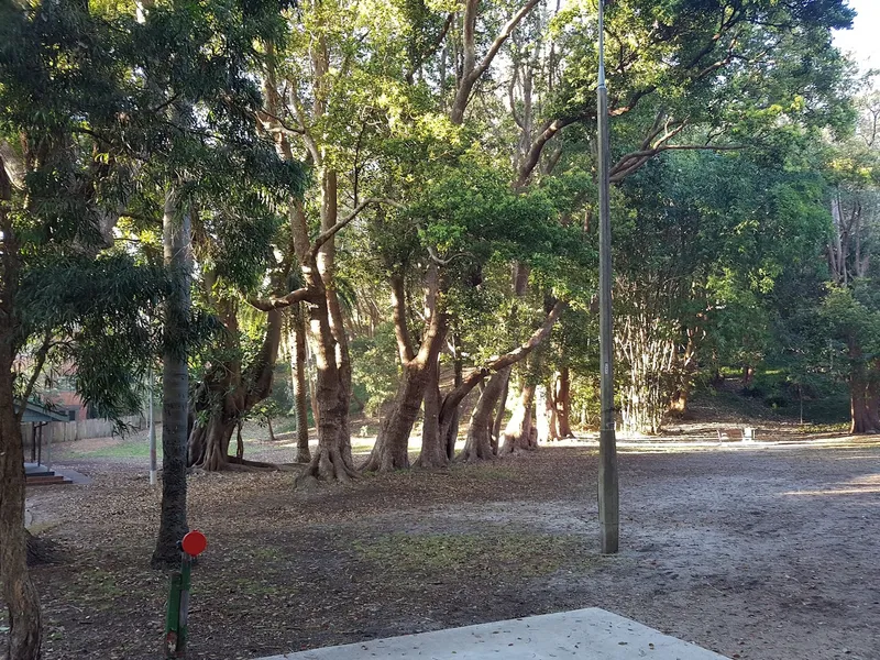 Thomas Hogan Reserve