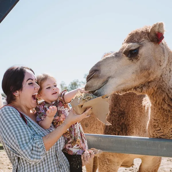 Scenic Rim Eat Local Month