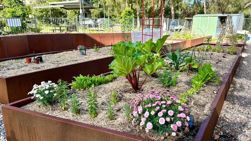 Lane Cove Community Garden