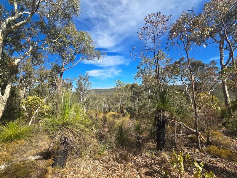 North Ledge