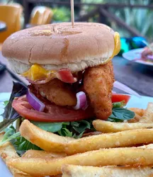 Best of 8 fried chicken in Serpentine-Jarrahdale Perth