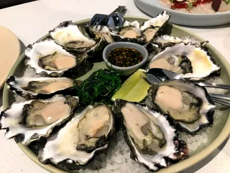 Top 5 oysters in Mosman Council Sydney