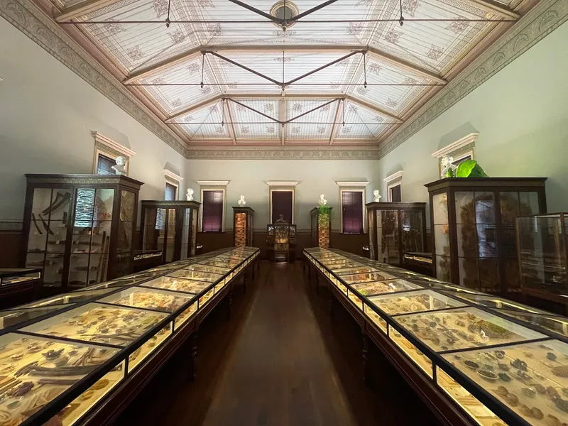 Museum of Economic Botany