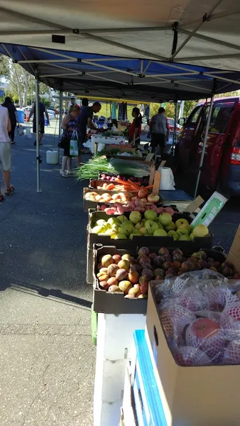 Marden Markets