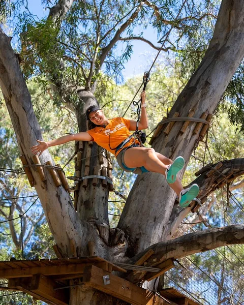 TreeClimb Adelaide