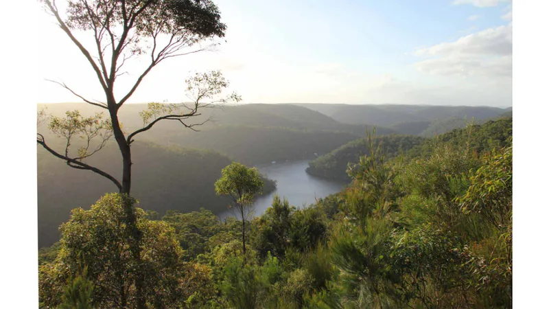 Berowra Valley National Park