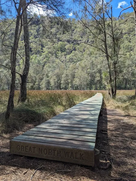 Great North walk - Berowra Valley National Park