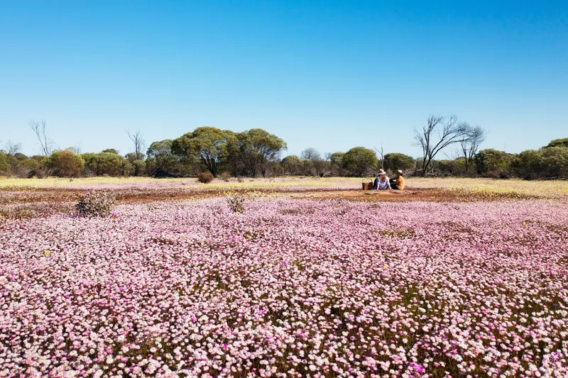 Western Australia Visitor Centre