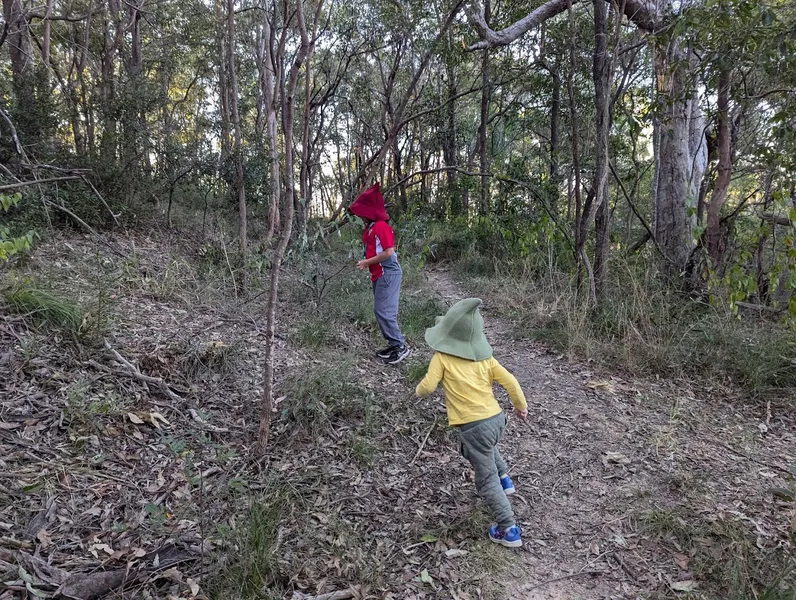 Wattlebrush School of Bushcraft & Wizardry