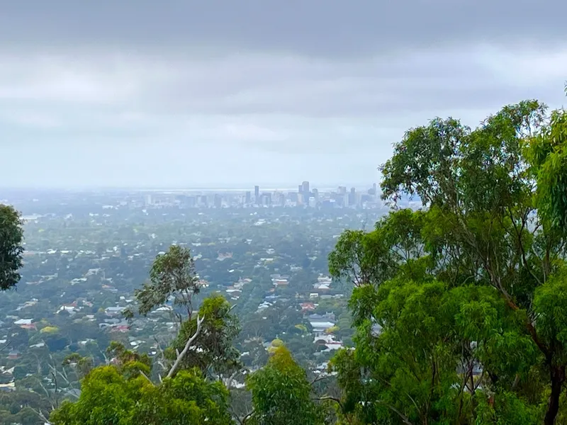 Windy Point Lookout