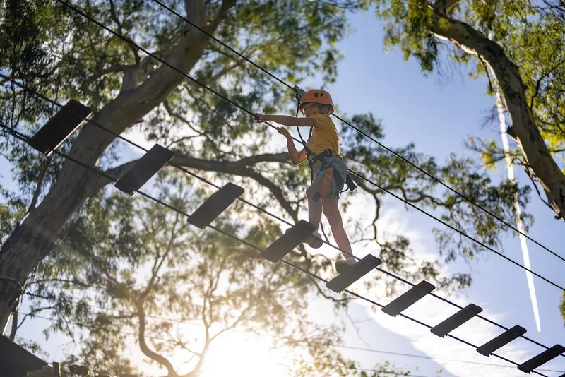 TreeClimb Adelaide