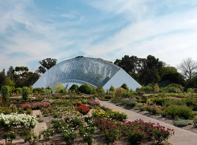 Adelaide Botanic Garden