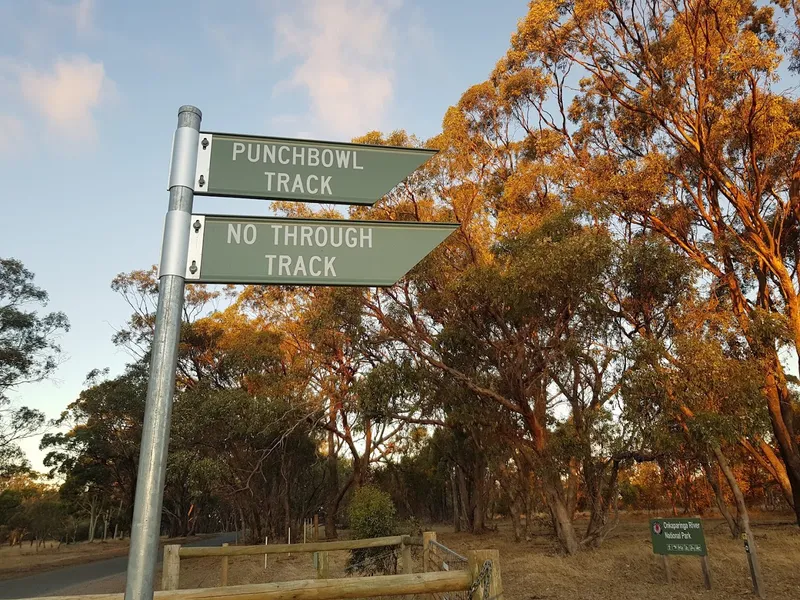 Punchbowl Lookout and Trails