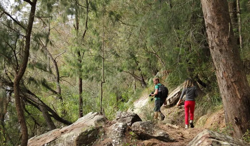 Berowra Valley National Park