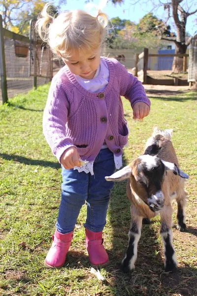 Golden Ridge Animal Farm, sydney