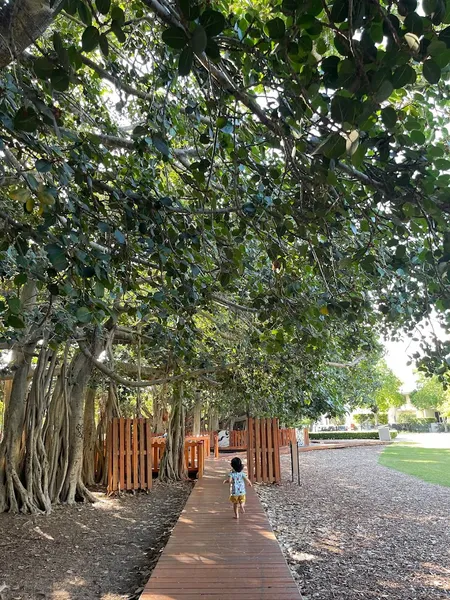 New Farm Park Playground