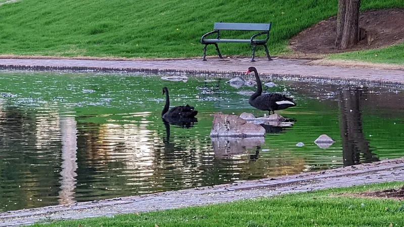 Model Boat Pond