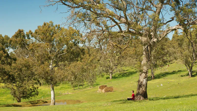 Lifeflow Meditation Centre