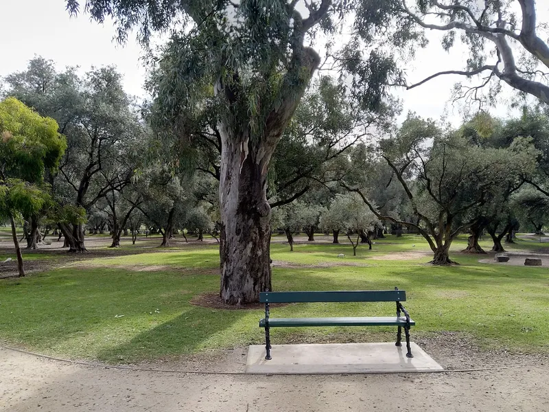 King Rodney Park (Park 15)