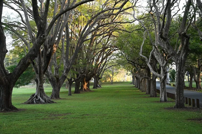 Colmslie Beach Reserve