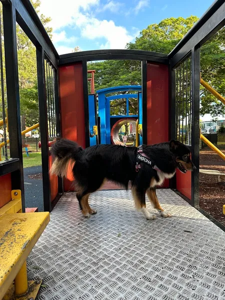 Milton Park Playground