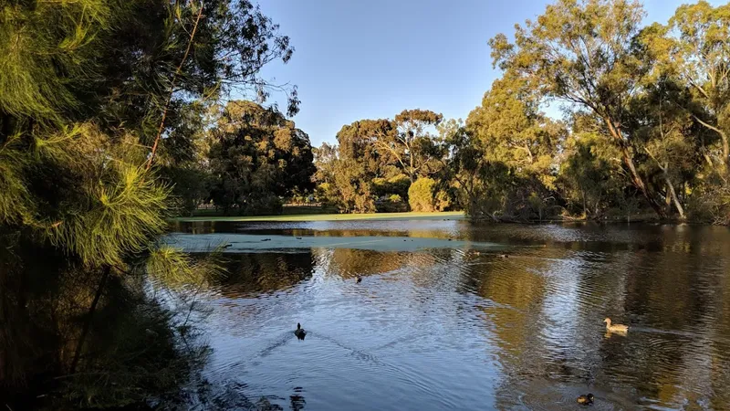 Neil McDougall Park