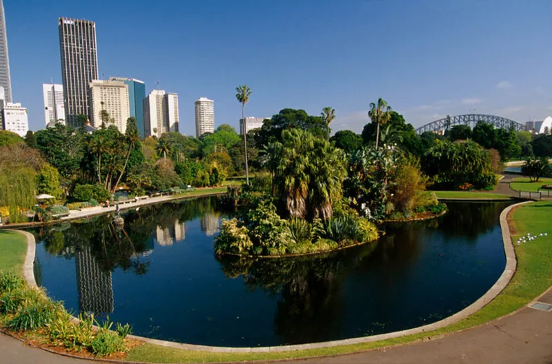 Royal Botanic Garden Sydney