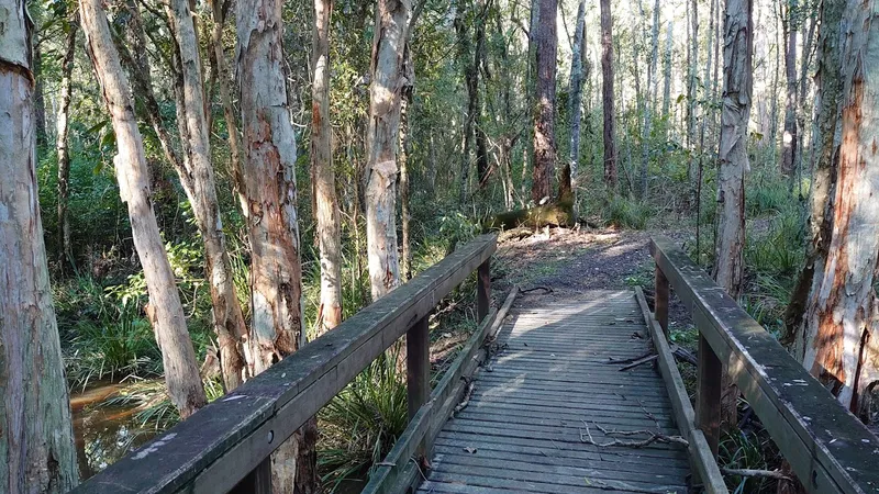 Sheep Station Creek Conservation Park