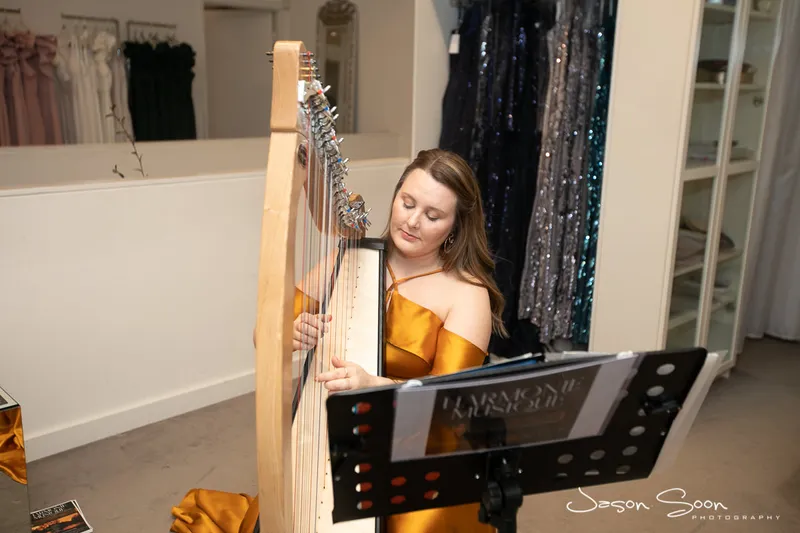 Harmony Sounds, Harpist Vocalist