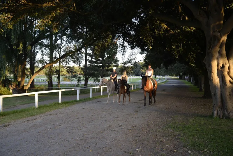 Papillon Riding Stables