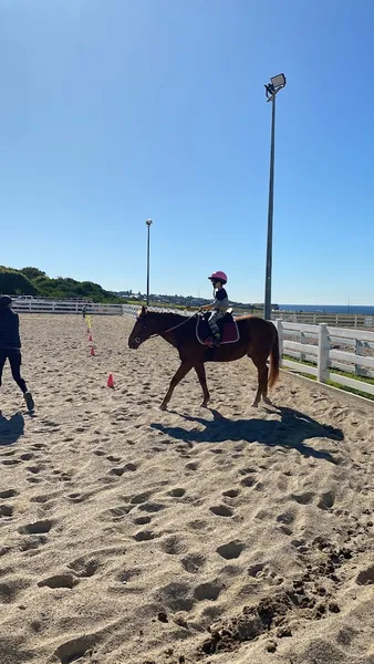 South East Equestrian Club