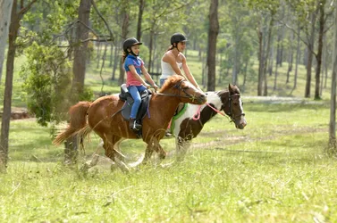 Top 12 horseback riding lessons in Brisbane