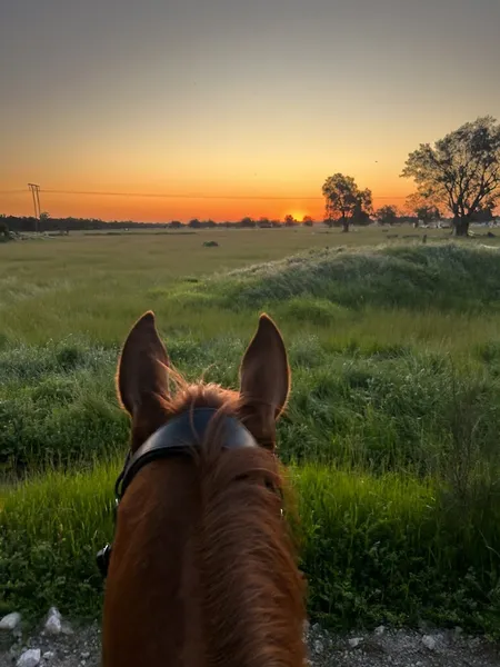 Oakford Equestrian Centre