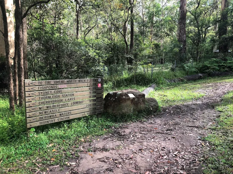 Rosemead Road Reserve