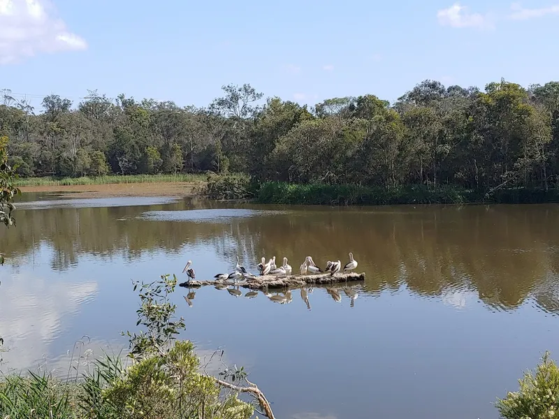 Berrinba Wetlands