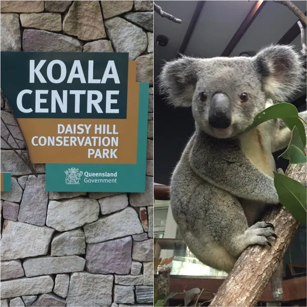 Daisy Hill Koala Centre