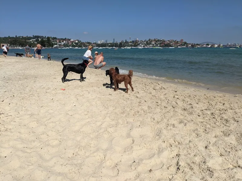 Rose Bay Beach