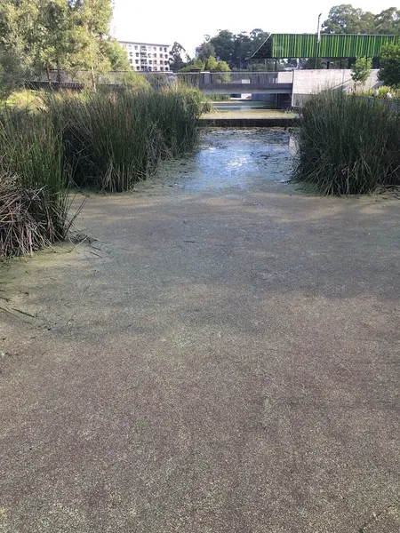 Blacktown Showground Precinct Water Play Park