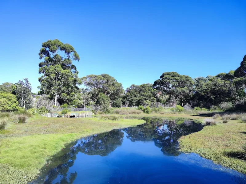 Federal Park Wetlands