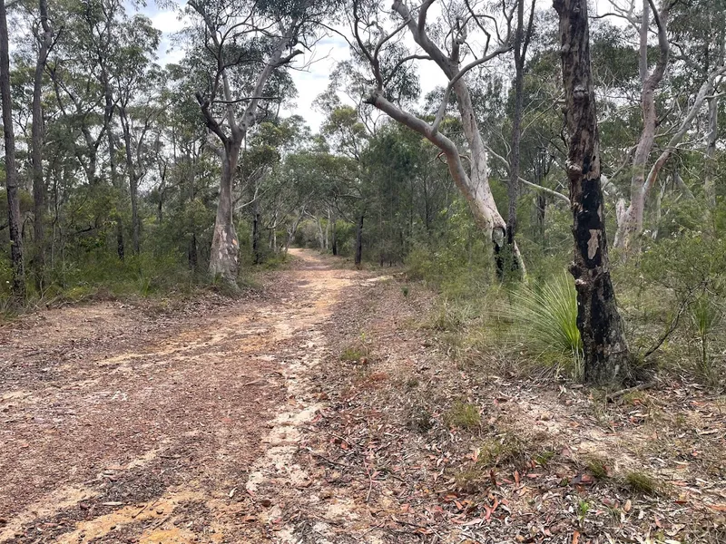 Tunks Ridge Rest Area