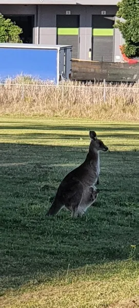 Bill Swift Reserve