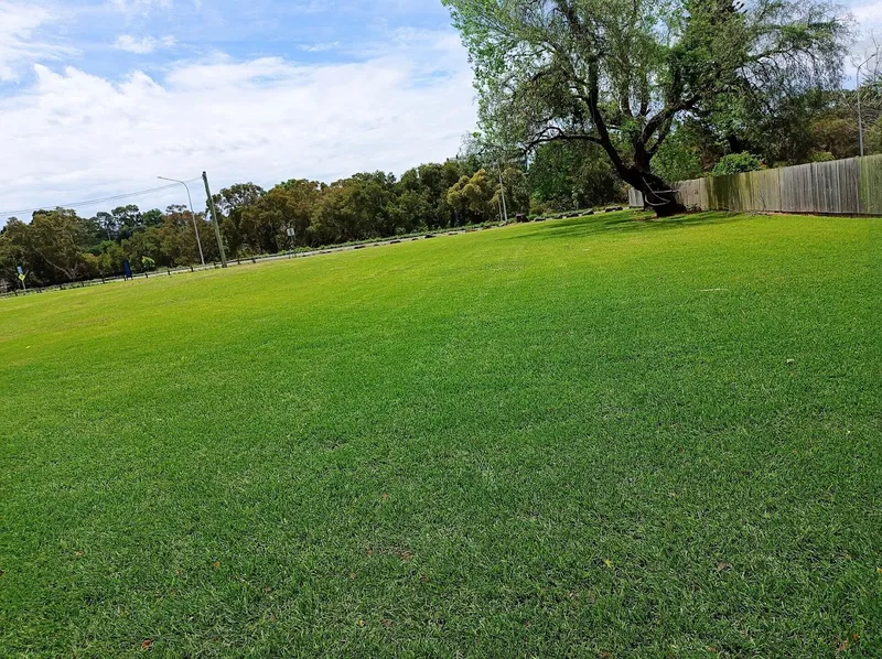 Robin Thomas Reserve